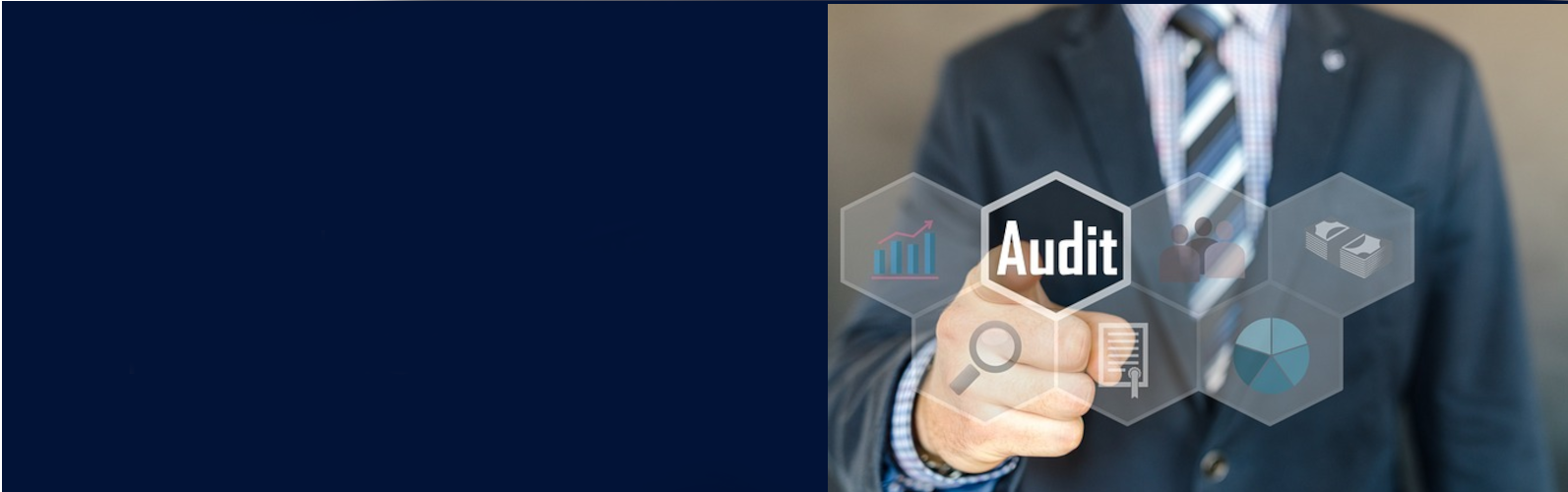 Postać wskazująca ręką na audyt nfz